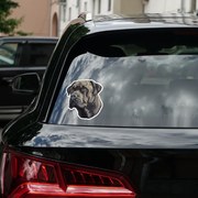 PIPPER. Autocolant Cane Corso mărimea: 15cm