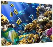 Tablou cu lumea submarină (70x50 cm), în 40 de alte dimensiuni noi