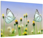 Tablou cu fluture pe floare (70x50 cm)