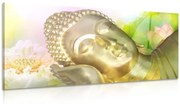 Tablou Budha dormind
