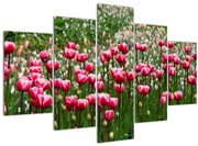 Tablou - Lalele (150x105 cm)