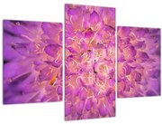 Tablou detailat cu floare (90x60 cm)