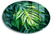 Tocător de bucătărie Frunze de monstera sălbatică