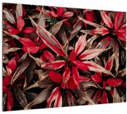 Tablou pe sticlă - Petale roșii (70x50 cm)