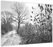 Tablou - Câmpuri în timpul iernii (70x50 cm)