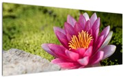 Tablou - Lotus (120x50 cm)