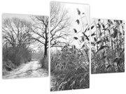 Tablou - Câmpuri în timpul iernii (90x60 cm)