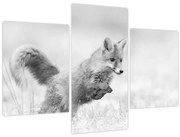 Tablou - Vulpe care sare,alb-negru (90x60 cm)