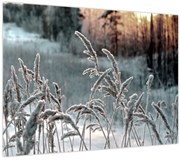 Tablou - Pajiște înghețată (70x50 cm)