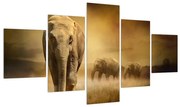 Tablou cu elefant (125x70 cm), în 40 de alte dimensiuni noi