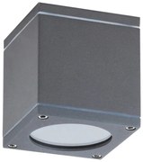 Plafoniera, spot pentru iluminat exterior cu protectie IP44 antracit Akron 8149 RX