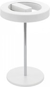 Eglo 96658 - Lampă de masă LED dimabilă ALVENDRE LED/12W/230V