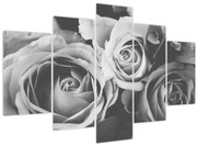 Tablou - Trandafir,alb-negru (150x105 cm)