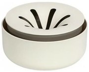 Plastia Regrow,  fildeș