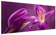 Tablou pe pânză K012218K12050 (120x50 cm), în 40 de alte dimensiuni noi