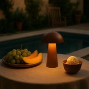 Rabalux 76039 - Lampă LED tactilă dimabilă de exterior MIREO 1,5W/5V IP44 1200 mAh USB maro