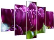 Tablou cu lalele (150x105 cm)