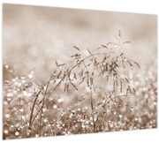 Tablou pe sticlă - Pajiște în tonuri de maro (70x50 cm)