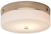 Plafonieră LED pentru baie Elstead TAMAR-F-M-PG TAMAR 1xGX53/5,7W/230V IP44