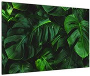 Tablou cu frunze Monstery (90x60 cm)