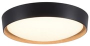 Leuchten Direkt 1434718-LED Lampă plafon EMILIA 28,8W/230V negru dimabil