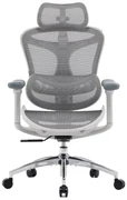 Scaun ergonomic SIHOO Doro, cotiere 3D ultra moi, suport lombar dinamic, spătar reglabil pe inaltime in 4 pozitii, tetiera 3D, mecanism inclinare/blocare in 3 pozitii, pivotant, Mesh, Gri