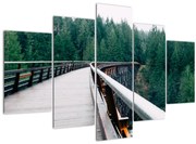 Tablou - Pod spre vârfurile copacilor (150x105 cm)