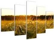 Tablou iarba cu rouă (150x105 cm)