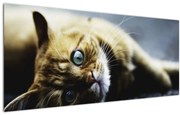 Tablou cu pisica (120x50 cm)