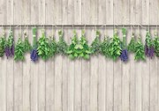 Fototapet - Plante - bej (254x184 cm)