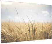 Tablou cu grâne (90x60 cm)