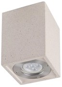 Spot aplicat tavan iluminat exterior IP65 LEVI alb