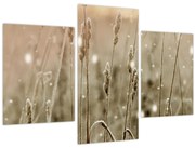 Tablou - Pajiște armonioasă (90x60 cm)