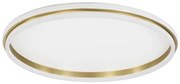 Lustra/Plafoniera LED design modern WILLOW Gold 60cm