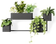 Ghivece 4 buc. din plastic pentru ierburi aromatice de perete Cubiko – Umbra