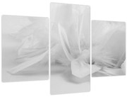 Tablou - Pene (90x60 cm)