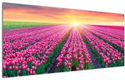 Tablou cu câmp de lalele cu soare (120x50 cm)