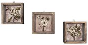 Set 3 tablouri Vintage, 15 x 15 cm