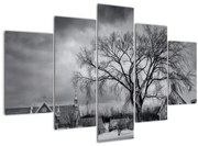 Tablou cu sat alb negru (150x105 cm)