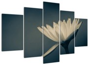 Tablou cu flori (150x105 cm)