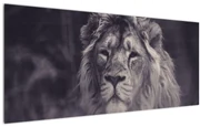 Tablou cu leu (120x50 cm)