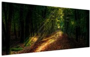 Tablou cu poteca prin pădure (120x50 cm), în 40 de alte dimensiuni noi