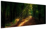 Tablou cu poteca prin pădure (120x50 cm)