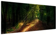 Tablou cu poteca prin pădure (120x50 cm)