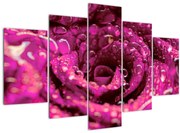 Tabloul cu floarea trandafirului roz (150x105 cm)