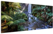 Tablou cu pădurea ploilor din Austalia (120x50 cm)