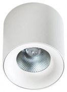 Spot LED aplicat tavan/plafon MANE 30W DIMM alb