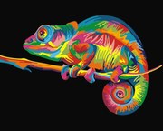 Pictura pe numere cu un cadru "Cameleon" 50x40 cm