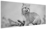 Tablou - Vulpe gri (120x50 cm)