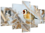 Tablou - Ciredeaua (150x105 cm)